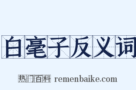 白毫子反义词是什么意思的图片